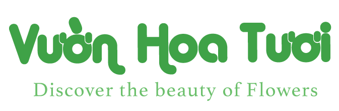 Phong Cách Florist